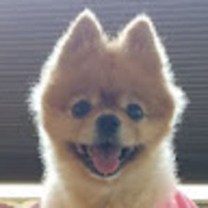 Meet your Posher, Enrique